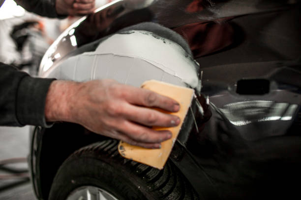 Professional Mold Removal in Greenwich, OH