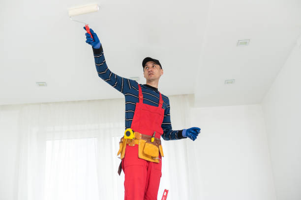 Best Mold Damage Restoration  in Greenwich, OH