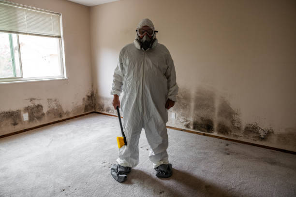 Best HVAC Mold Inspection and Cleaning  in Greenwich, OH