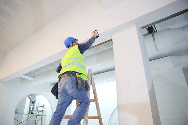 Best Airborne Mold Testing  in Greenwich, OH